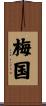 梅国 Scroll
