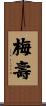 梅壽 Scroll