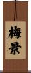 梅景 Scroll