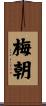梅朝 Scroll