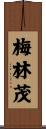 梅林茂 Scroll