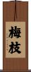 梅枝 Scroll