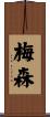 Maysoon Scroll