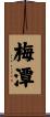 梅潭 Scroll
