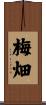 梅畑 Scroll