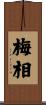 梅相 Scroll
