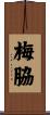 梅脇 Scroll