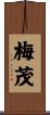 梅茂 Scroll