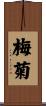 梅菊 Scroll