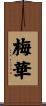 梅華 Scroll