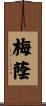 梅蔭 Scroll
