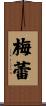 梅蕾 Scroll