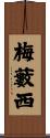 梅藪西 Scroll