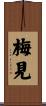 梅見 Scroll