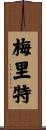 Merritt Scroll