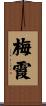 梅霞 Scroll