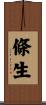 條生 Scroll
