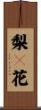 梨々花 Scroll