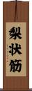 梨状筋 Scroll