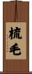 梳毛 Scroll