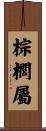 棕櫚屬 Scroll