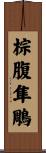 棕腹隼鵰 Scroll