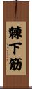 棘下筋 Scroll