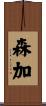 森加 Scroll