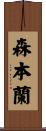 森本蘭 Scroll