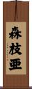 森枝亜 Scroll