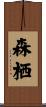 森栖 Scroll