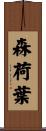 森荷葉 Scroll