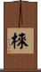 棶 Scroll