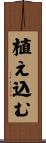 植え込む Scroll