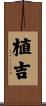 植吉 Scroll