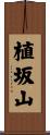 植坂山 Scroll