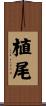 植尾 Scroll