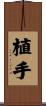 植手 Scroll