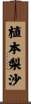 植本梨沙 Scroll
