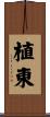 植東 Scroll