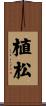 植松 Scroll