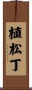 植松丁 Scroll