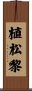 植松黎 Scroll