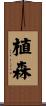 植森 Scroll