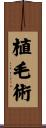 植毛術 Scroll