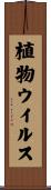 植物ウイルス Scroll