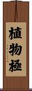植物極 Scroll