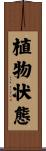 植物状態 Scroll