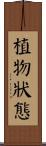 植物狀態 Scroll