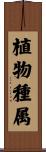 植物種属 Scroll